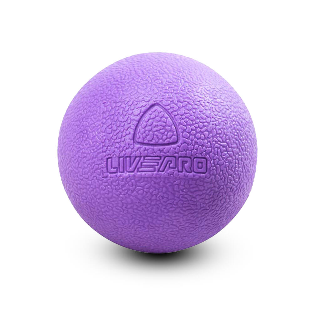 Livepro LP8501 Masaj Topu Diğer Fiyatı