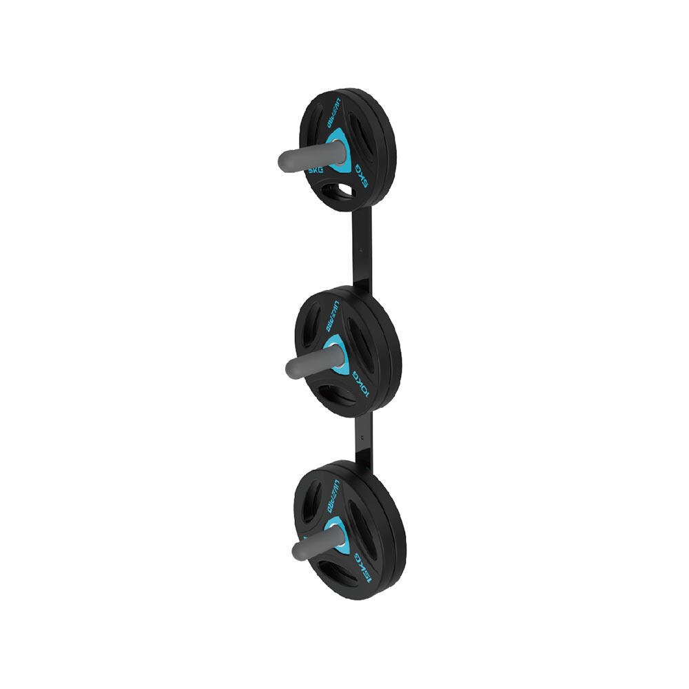 Livepro LP8893 Duvar Plaka Rafı Dambıllar & El / Ayak Ağırlıkları Fiyatı