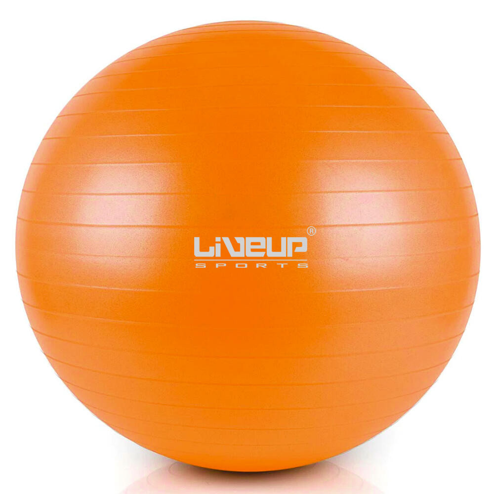 Liveup LS3222 65 Cm Pilates Topu + Pompası Pilates Topu Fiyatı