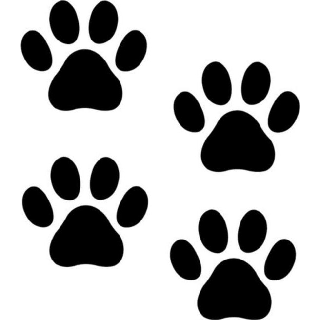 Lizpo Decor Kedi Patisi Oto Sticker, Araba Sticker, Araç Sticker 20 cm x 20 cm 8 Adet Gönderim - Siyah - 20 x 20 Diğer Fiyatı