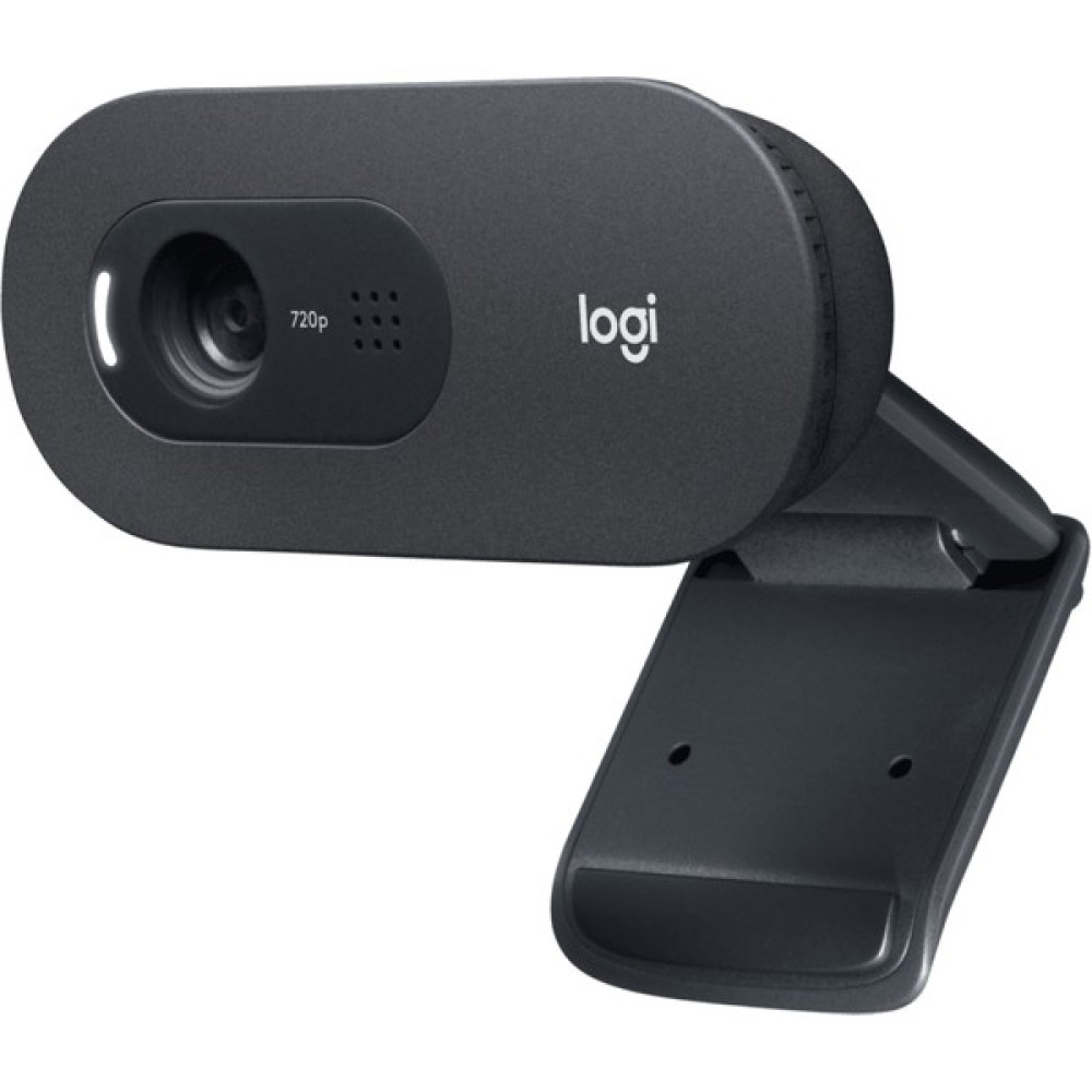 Logitech C505E Hd Business Webcam - Siyah Web Kameraları Fiyatı