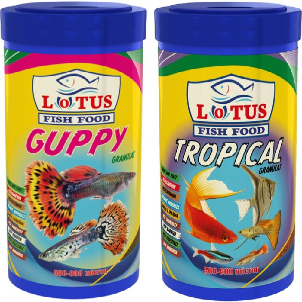 Lotus Guppy 250 ml + Tropical 250 ml Balık Yemi Oto Boyaları Fiyatı