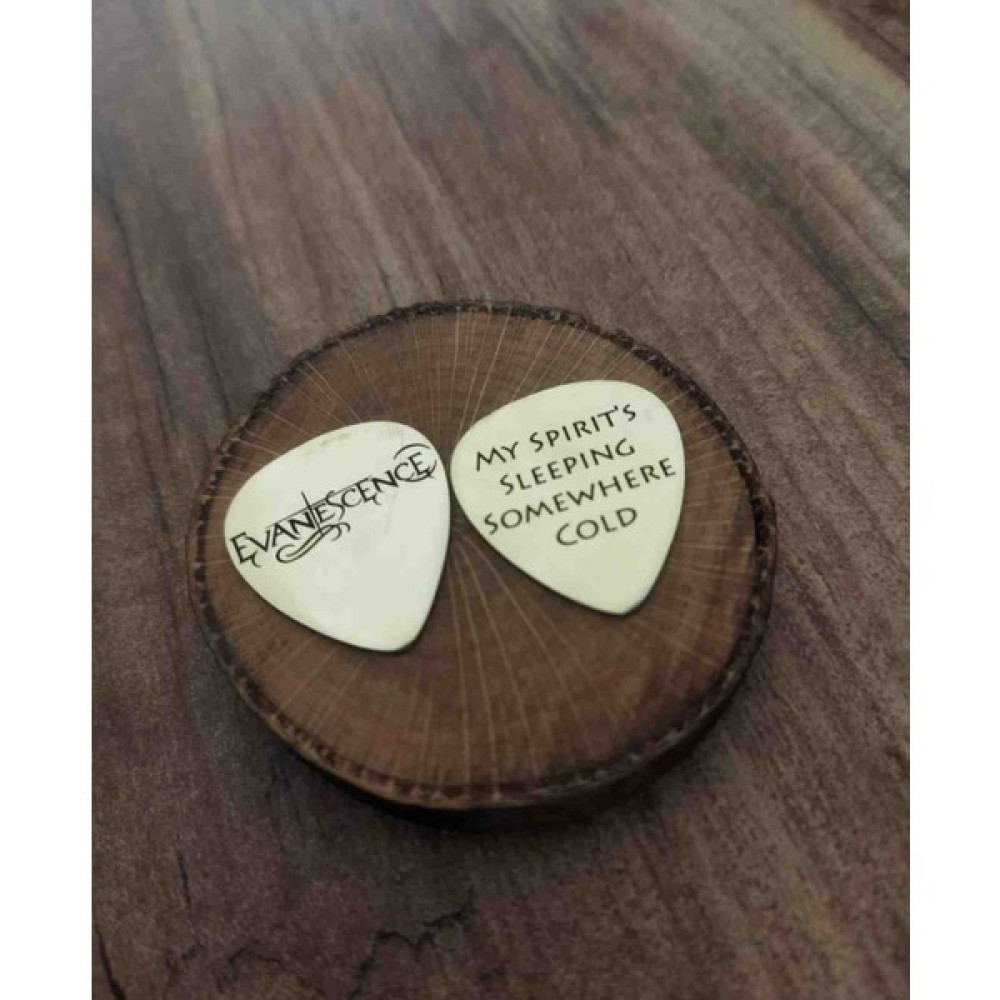 Luffy Design Evanescence 2'li Metal Pena Set Elektro Gitarlar Fiyatı