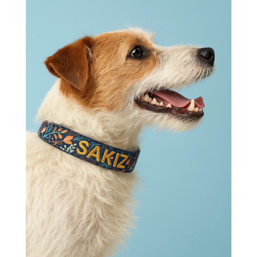 Lusi Doog Kişiye Özel Köpek Boyun Tasması Isme Özel Köpek Tasması Isimli Köpek Tasması (Desenli) - XS - Lacivert Evcil Hayvan Ürünleri Fiyatı