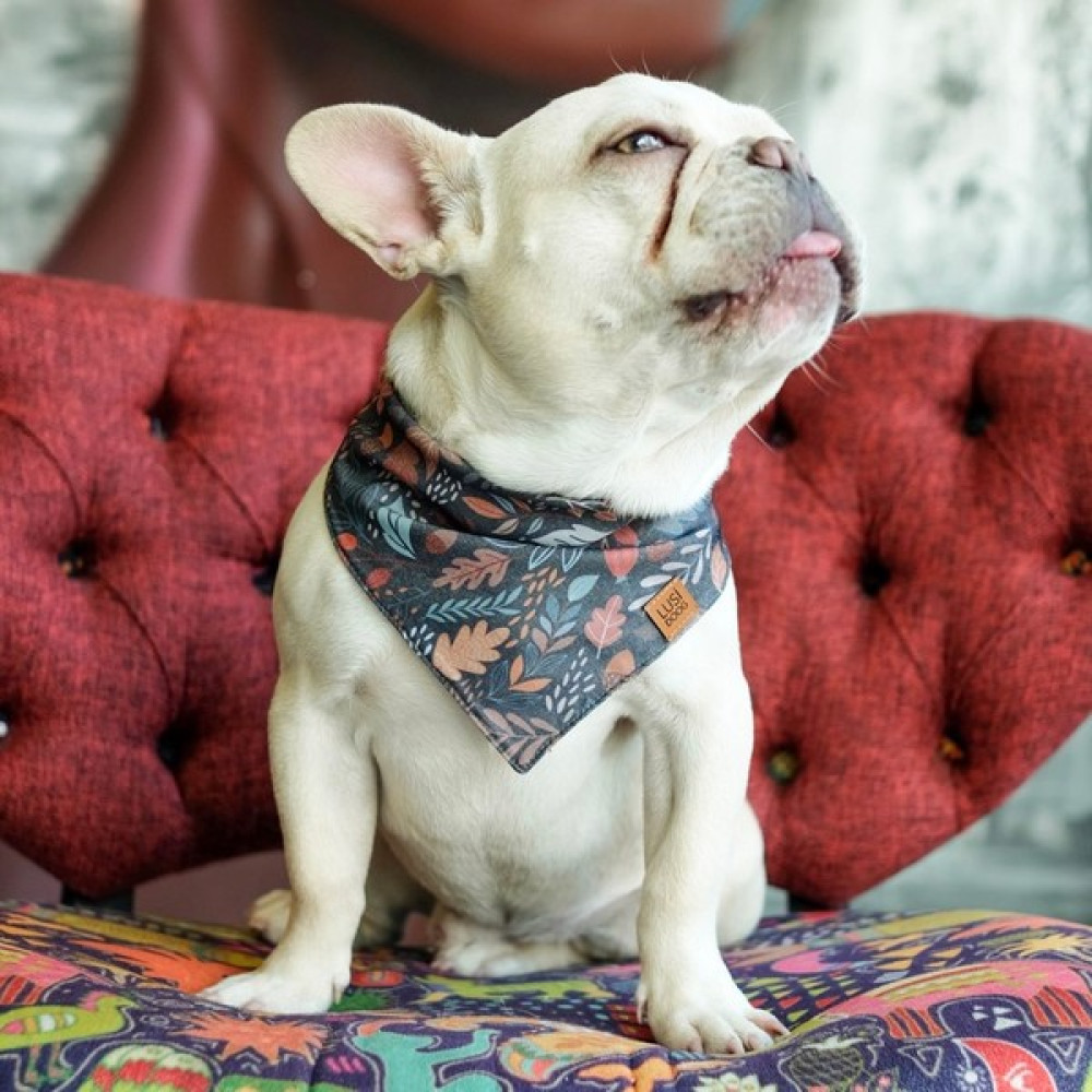 Lusi Doog Lacivert Köpek Bandanası (S - M - L Beden) Çiçek Desenli Evcil Hayvan Ürünleri Fiyatı