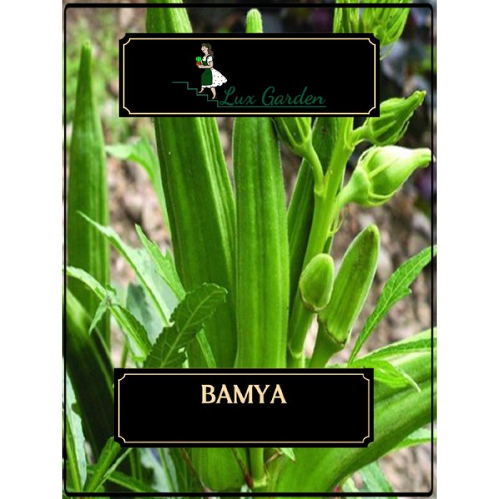 Lux Garden Bamya Tohumu 16 Adet - 1 Adet Tohum Fiyatı