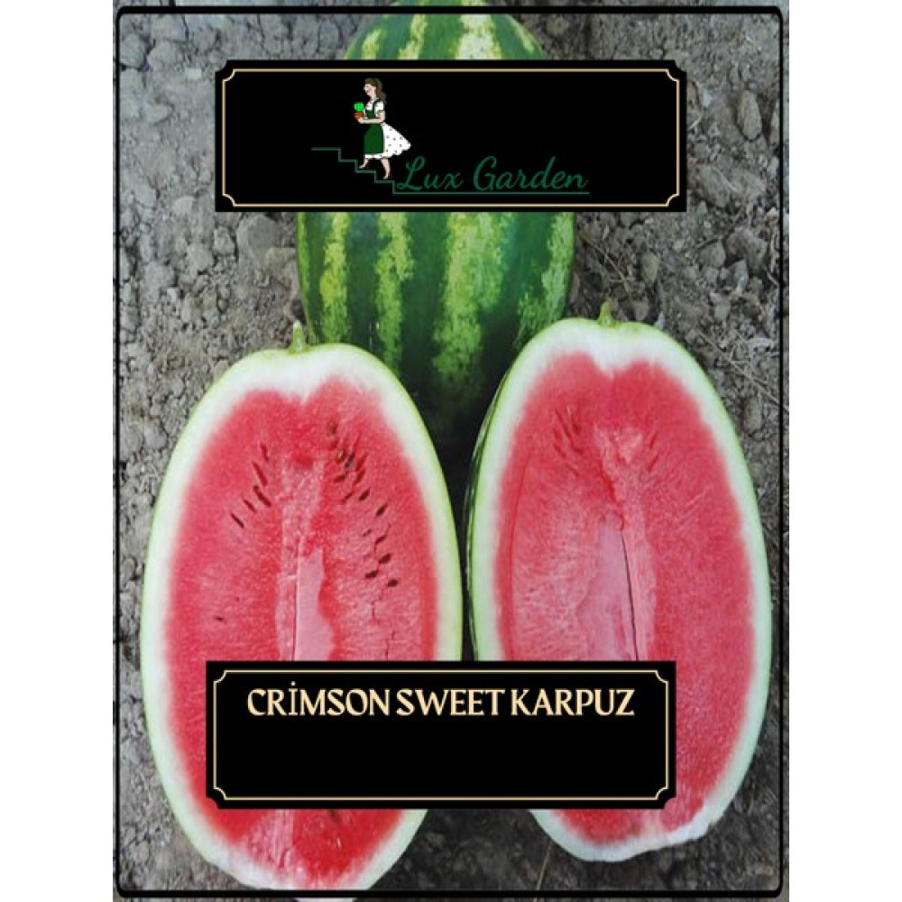 Lux Garden Crimson Sweet Karpuz Tohumu 10 Adet - 1 Adet Tohum Fiyatı