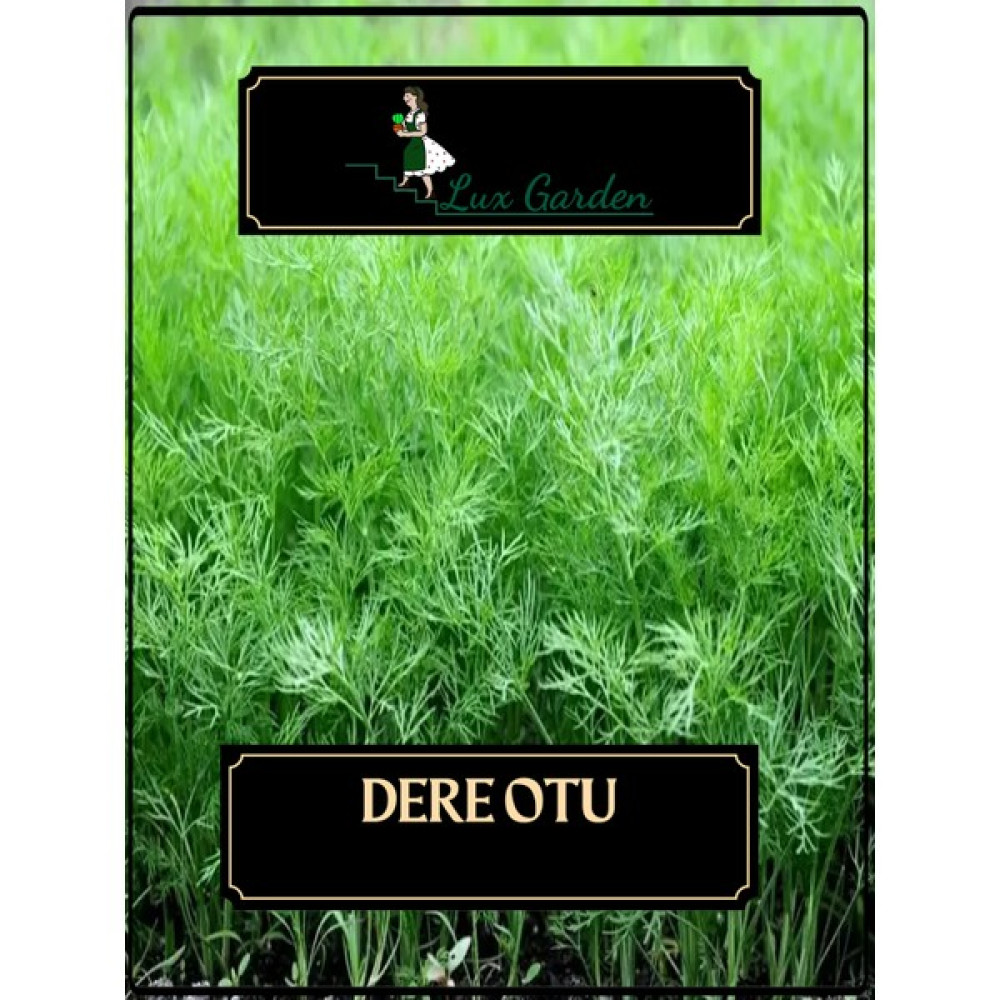 Lux Garden Dere Otu Tohumu 400 Adet - 1 Adet Tohum Fiyatı