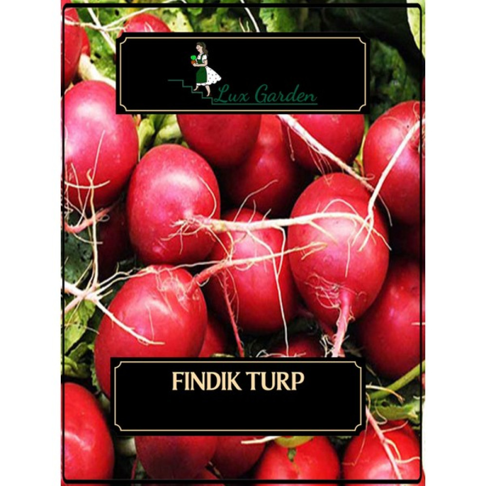 Lux Garden Fındık Turp Tohumu 90 Adet - 1 Adet Tohum Fiyatı