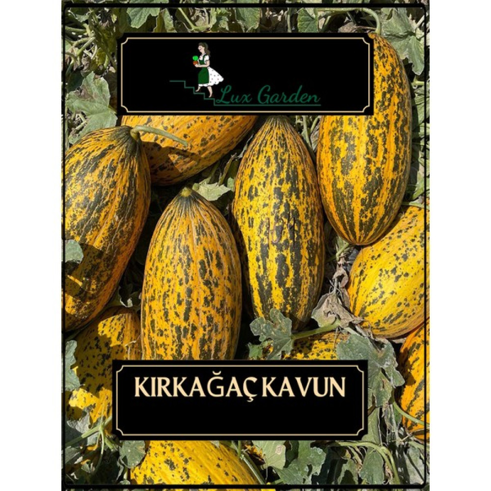 Lux Garden Kırkağaç Kavun Tohumu 20 Adet - 1 Adet Tohum Fiyatı