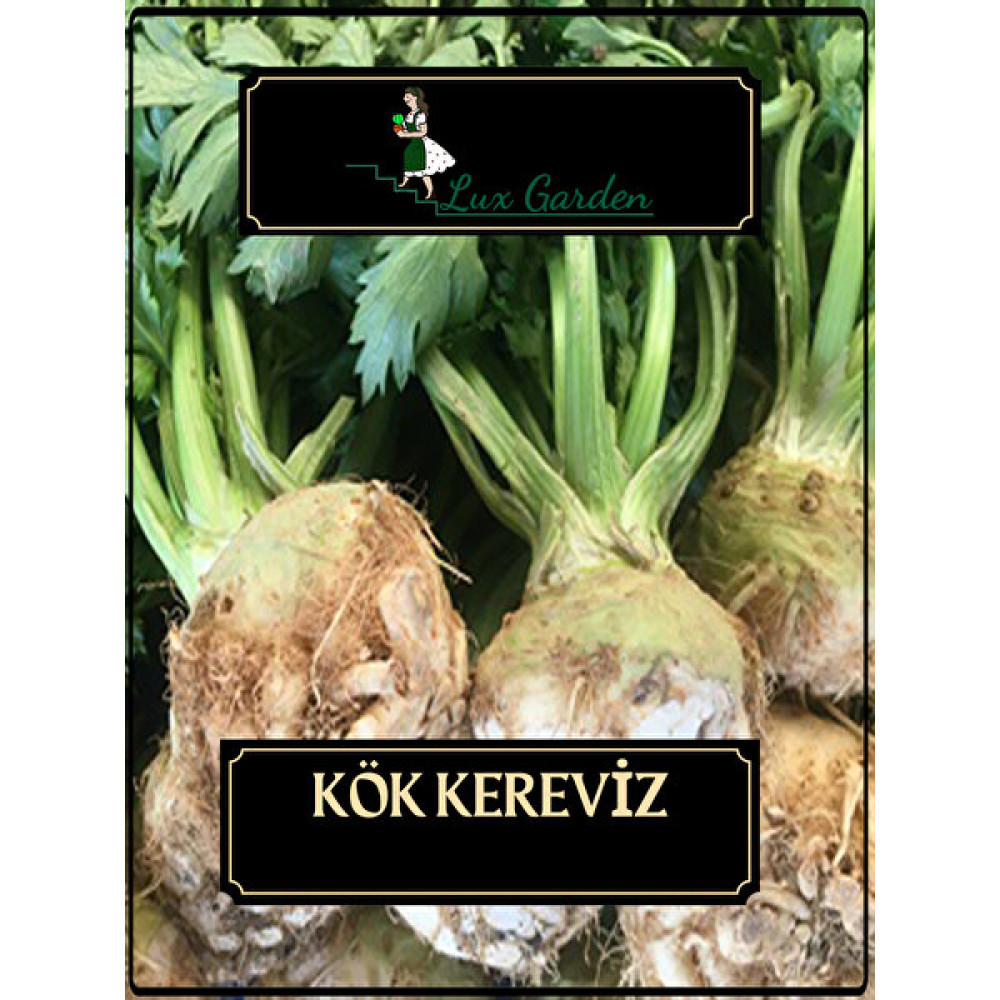 Lux Garden Kök Kereviz Tohumu 420 Adet - 1 Adet Tohum Fiyatı