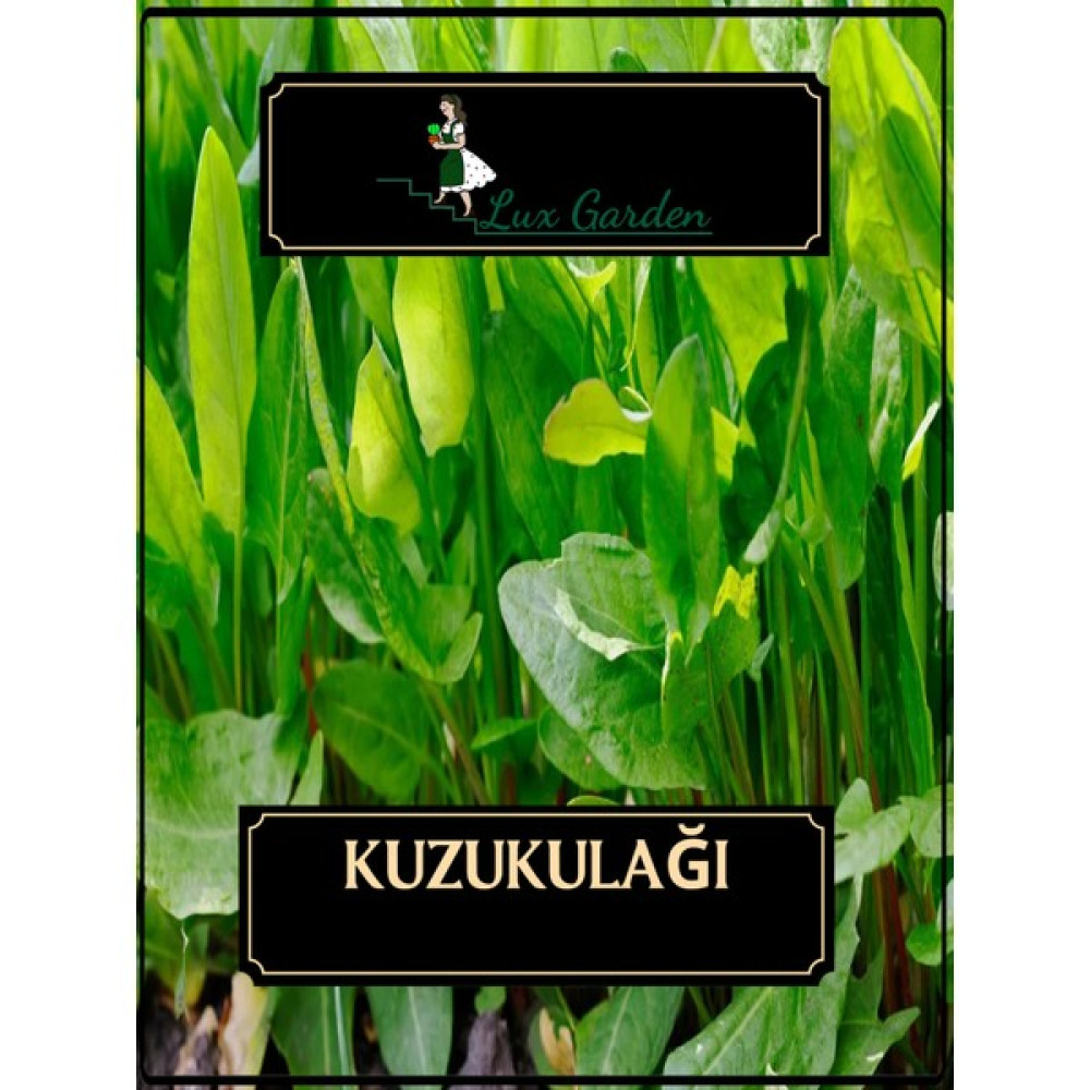 Lux Garden Kuzu Kulağı Tohumu 15 Adet - 1 Adet Tohum Fiyatı