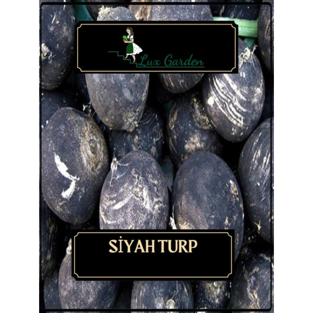 Lux Garden Siyah Turp Tohumu 80 Adet - 1 Adet Tohum Fiyatı