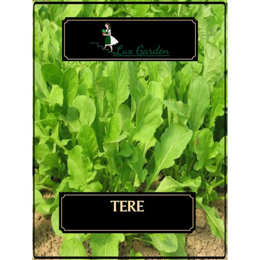 Lux Garden Tere Tohumu 440 Adet - 1 Adet Tohum Fiyatı