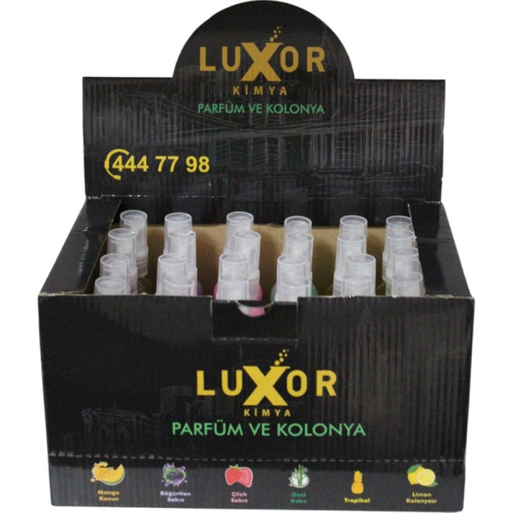 Luxor 12 Adet 200 ml Ev & Oto Koku Seti Özel Kutulu Oto Boyaları Fiyatı
