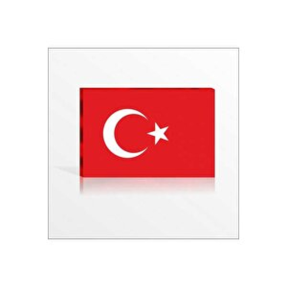 M3decorium Erat Okul Sınıf Dershane Devlet Için Sade Türk Bayrağı Pano Tablo & Poster Fiyatı