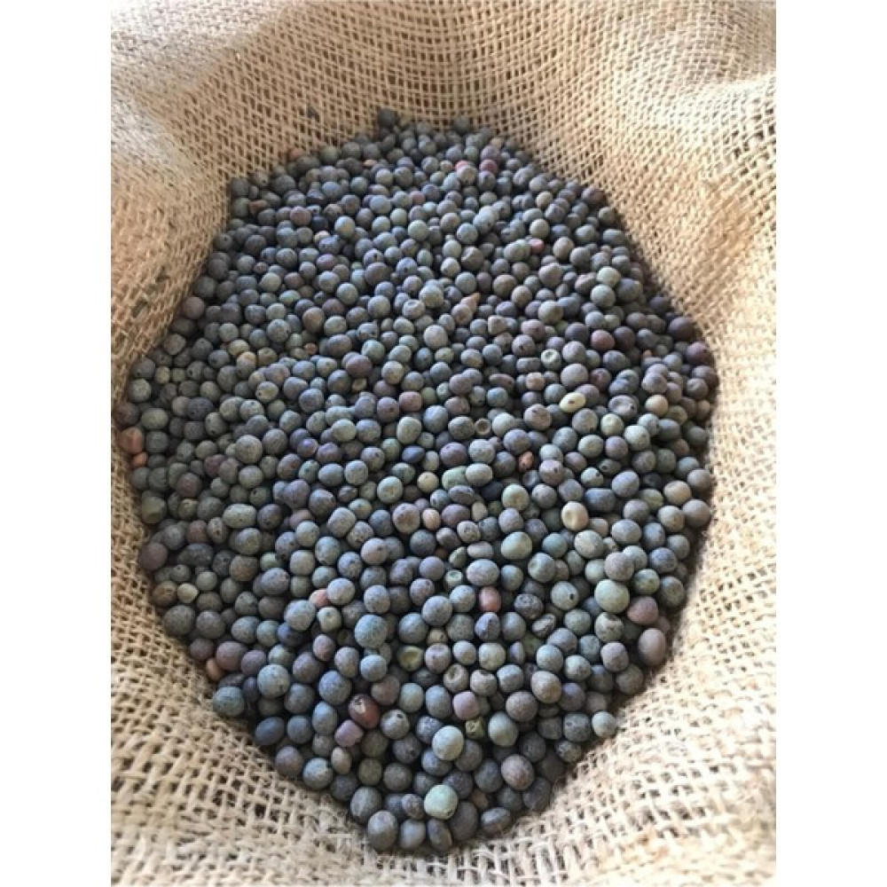 Macar Fiğ Tohumu 10 kg Tohum Fiyatı