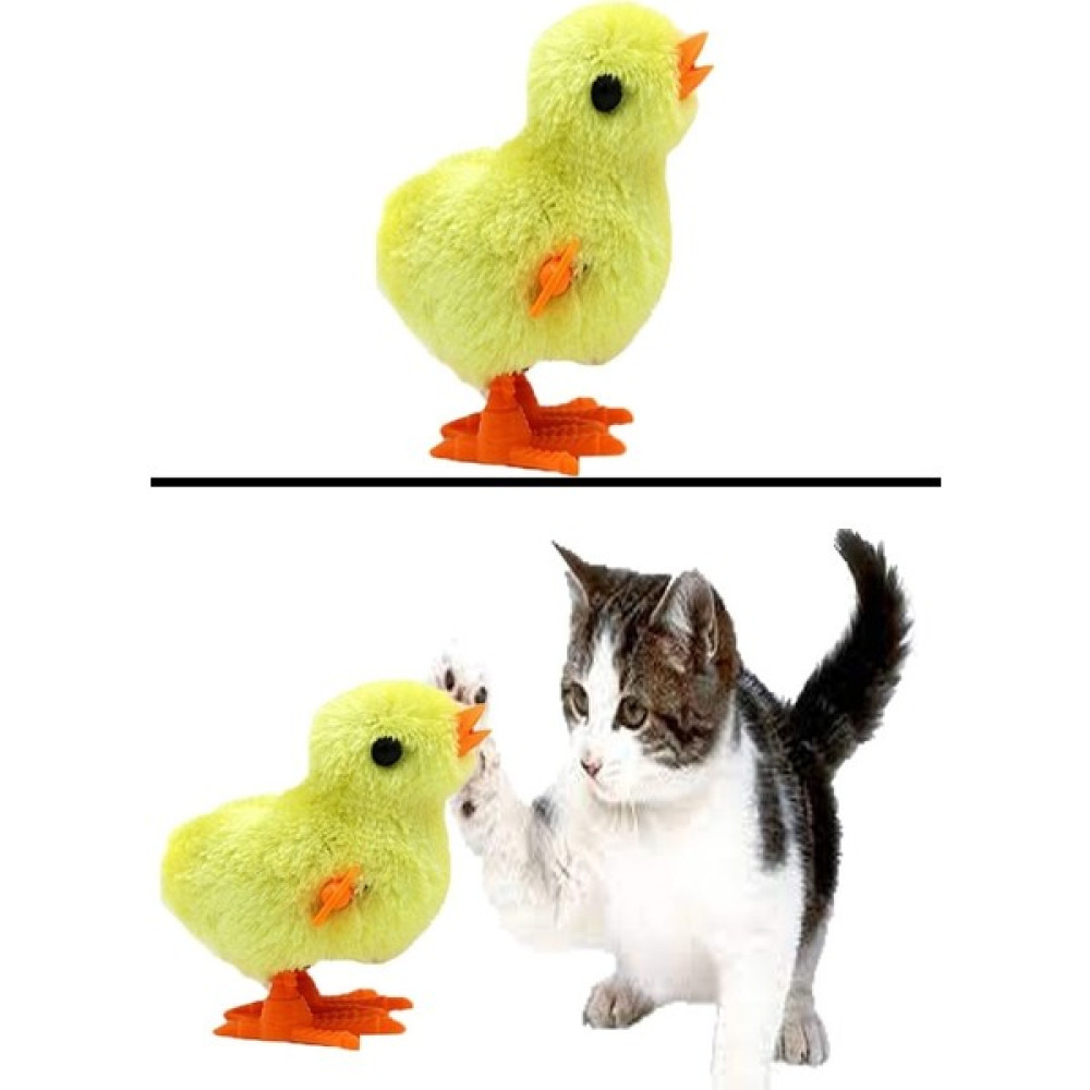 Magi Toptan Kurmalı Civ Civ Kedi Oyuncağı Evcil Hayvan Ürünleri Fiyatı