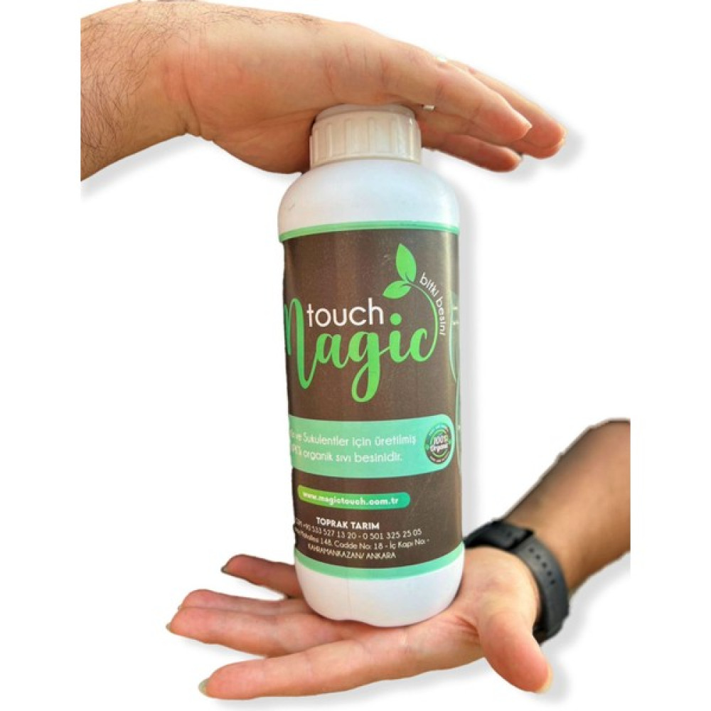 Magic Touch Besin(Kaktüs) 1000ML - 1000 ml Oto Boyaları Fiyatı