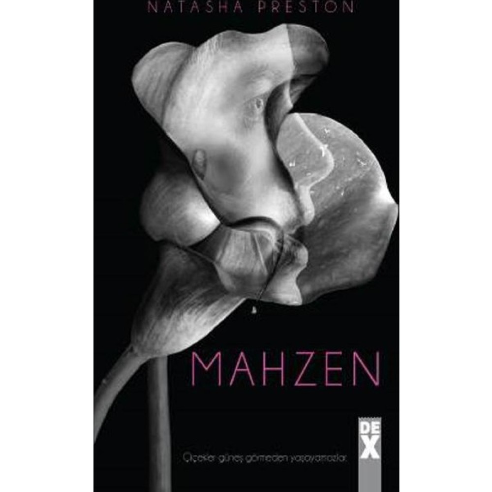 Mahzen Korku-Gerilim Fiyatı