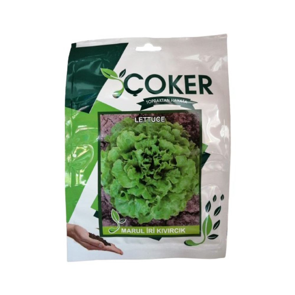 Makrogen Seed Çoker Marul Iri Kıvırcık Tohumu 1 Paket - 1 Adet Oto Boyaları Fiyatı