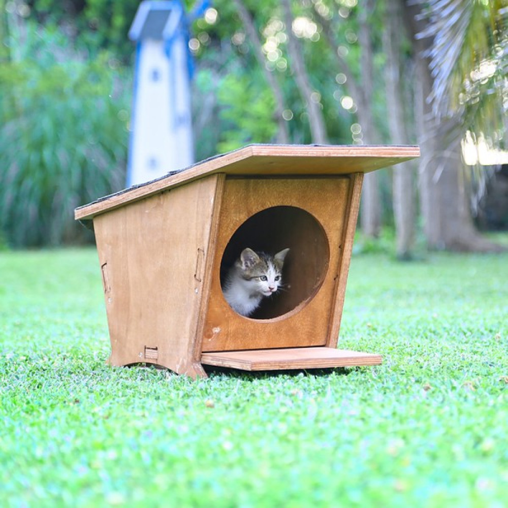 Mandu Ahşap Mini Kedi Evi (Yeni Doğan Evi) - Ahşap Rengi Evcil Hayvan Ürünleri Fiyatı