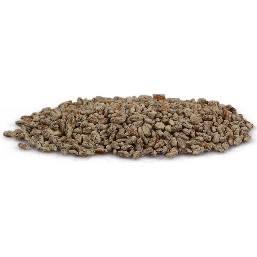 Mantarcı Anne Hk 35 İstiridye Mantar Tohumu 2 kg Tohum Fiyatı