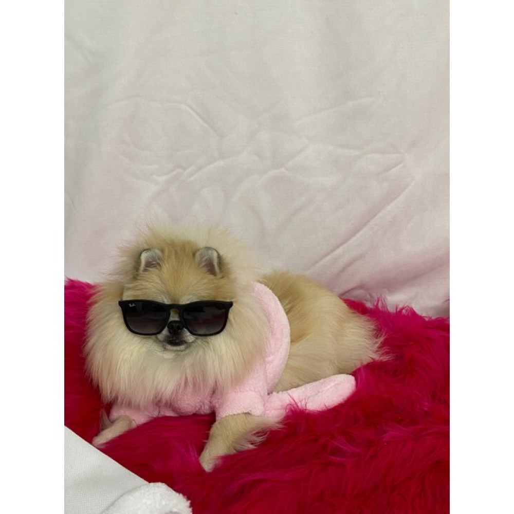 Maria Pet Fashion Kedi Köpek Kıyafeti & Elbisesi & Bornoz - Açık Pembe - XL Oto Boyaları Fiyatı