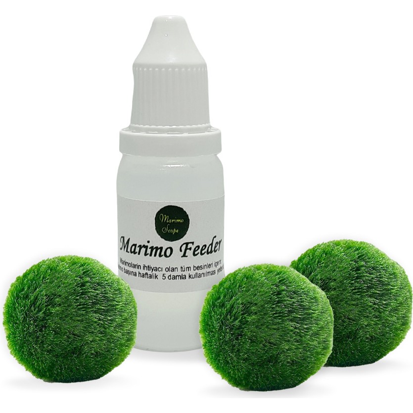 Marimo Scape 3 Adet Şans Getiren Marimo (3-5cm) + Marimo Feeder Bitki Fiyatı