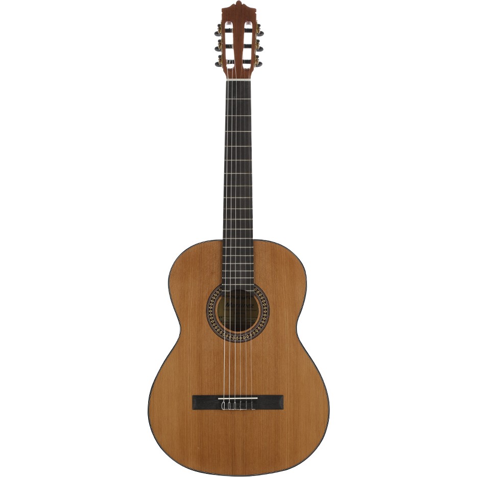 Martinez MARTINEZ MC-10C Klasik Gitar Akustik Performans İçin Ahşap Yapı Klasik Gitarlar Fiyatı