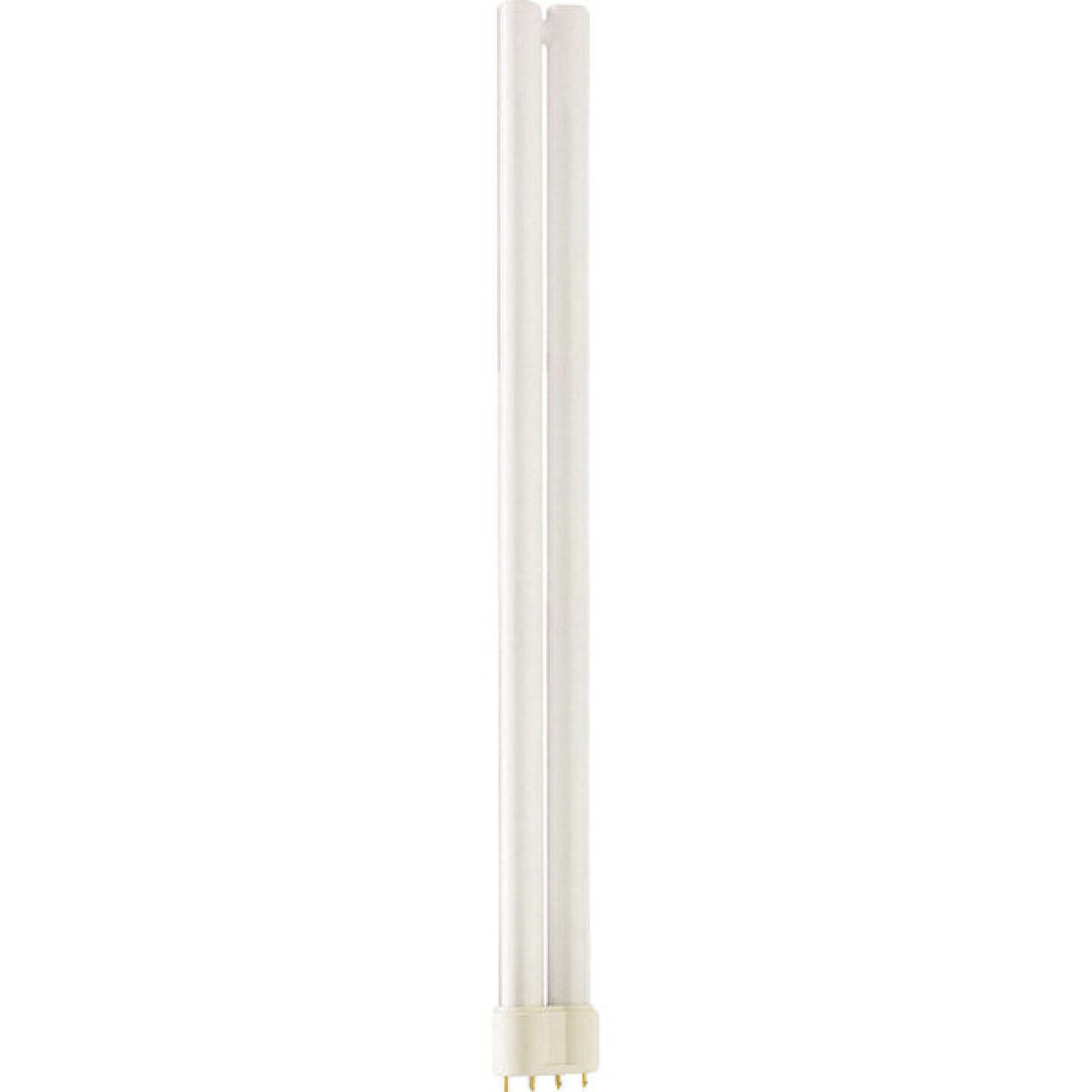 MASTER PL-L 36W/865/4P 1CT/25 6500K Beyaz Enerji Tasarruflu Ampul Tasarruflu Ampul Fiyatı