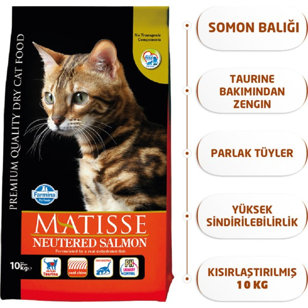 Matisse Neutered Kısırlaştırılmış Somonlu Kuru 10 Kg Kedi Maması Evcil Hayvan Ürünleri Fiyatı