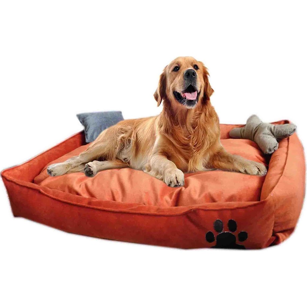 Mavi Vitrin Elite Yıkanabilir Ultra Soft Large Büyük Irk Köpek Yatağı Kiremit Renk 90X70 cm Evcil Hayvan Ürünleri Fiyatı