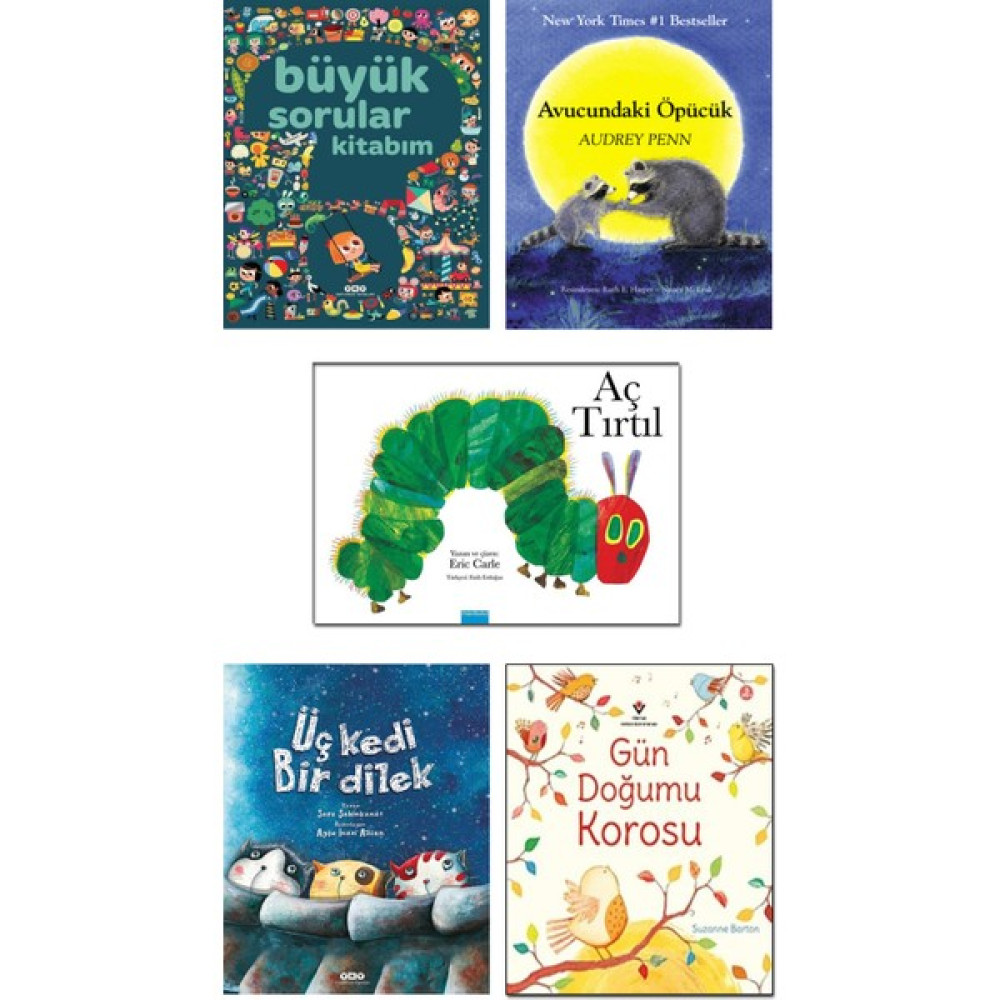 Mavibulut Yayınları – Büyük Sorular Kitabım + Avucundaki Öpücük + Aç Tırtıl + Üç Kedi Bir Dilek + Gün Doğumu Korosu - 5 Kitap Çocuk Öykü Seti Çocuk Öykü Fiyatı