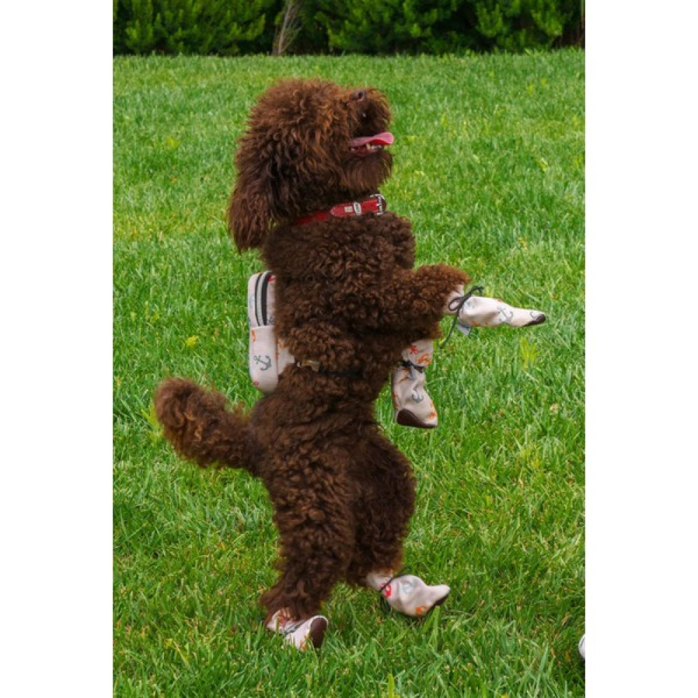 Max Design Krem Pet Ayakkabısı Kedi Köpek Için Su Geçirmez Gezdirme Ayakkabısı - M Evcil Hayvan Ürünleri Fiyatı