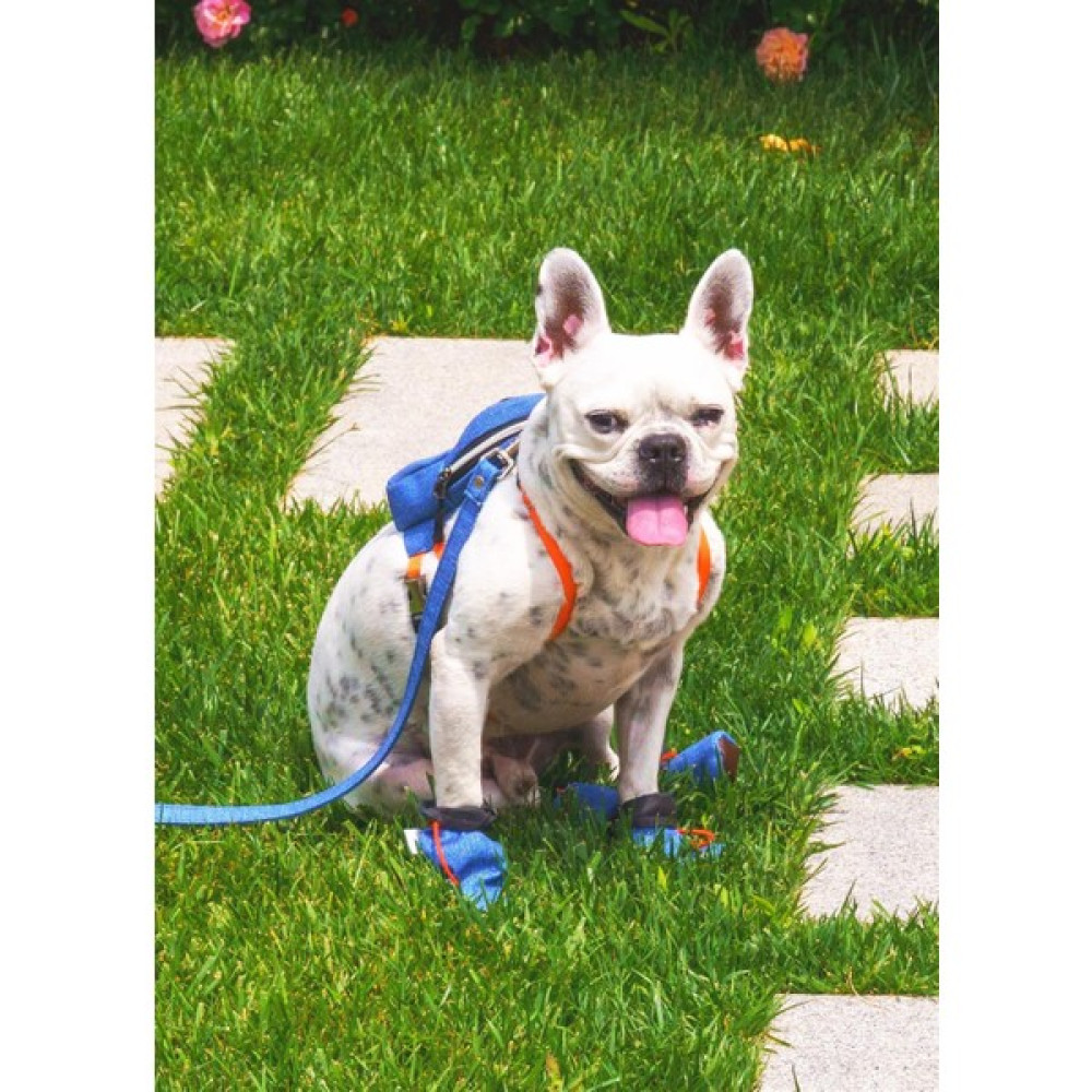 Max Design Mavi Pet Ayakkabısı Kedi Köpek Için Su Geçirmez Gezdirme Ayakkabısı - S Evcil Hayvan Ürünleri Fiyatı