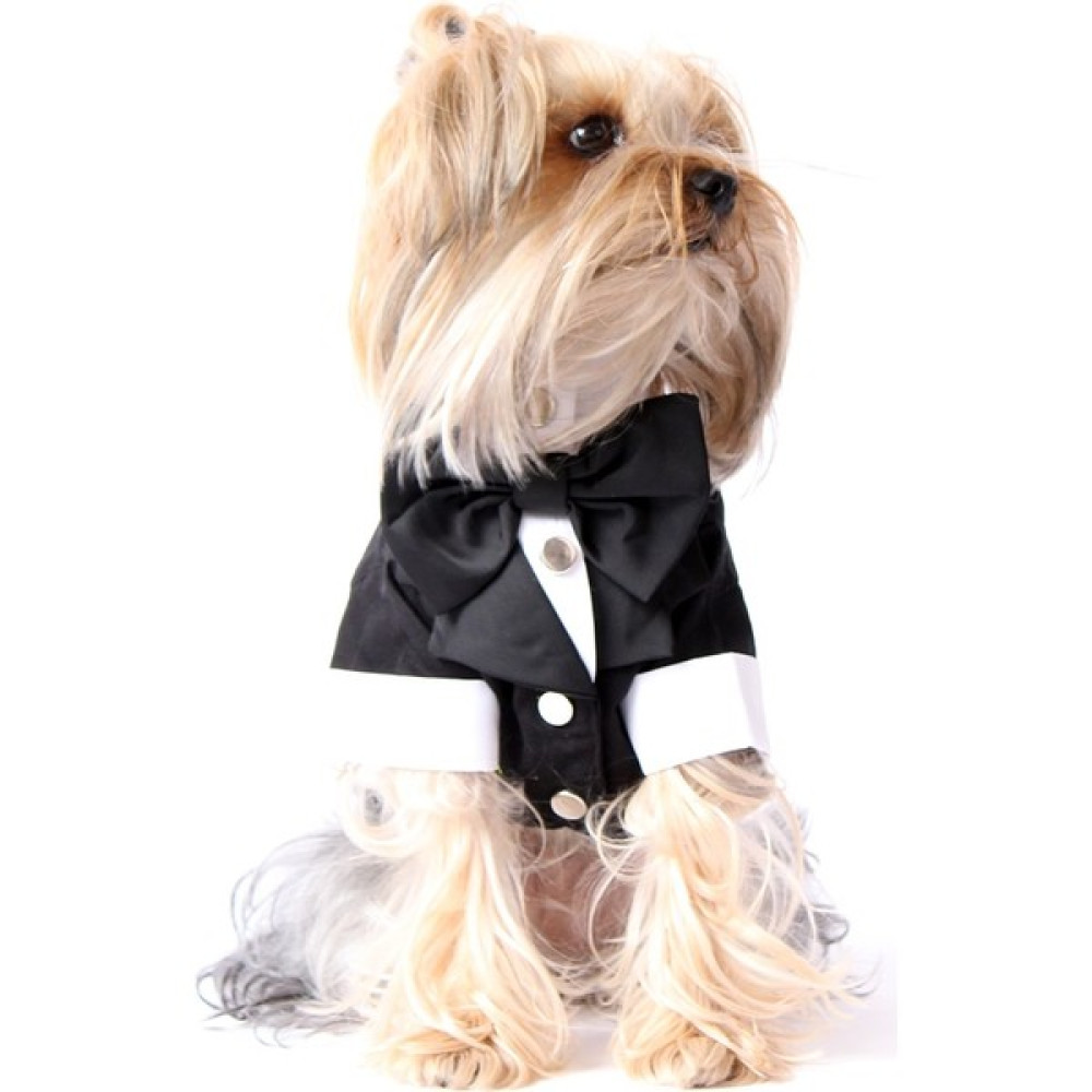 Max Design Pet Smokin -  Köpek ve Kedi Kıyafeti - S Oto Boyaları Fiyatı