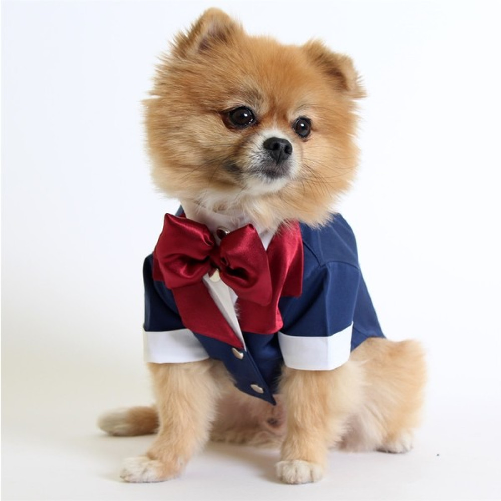 Max Design Pet Smokin - Lacivert - Köpek ve Kedi Kıyafeti - S Evcil Hayvan Ürünleri Fiyatı