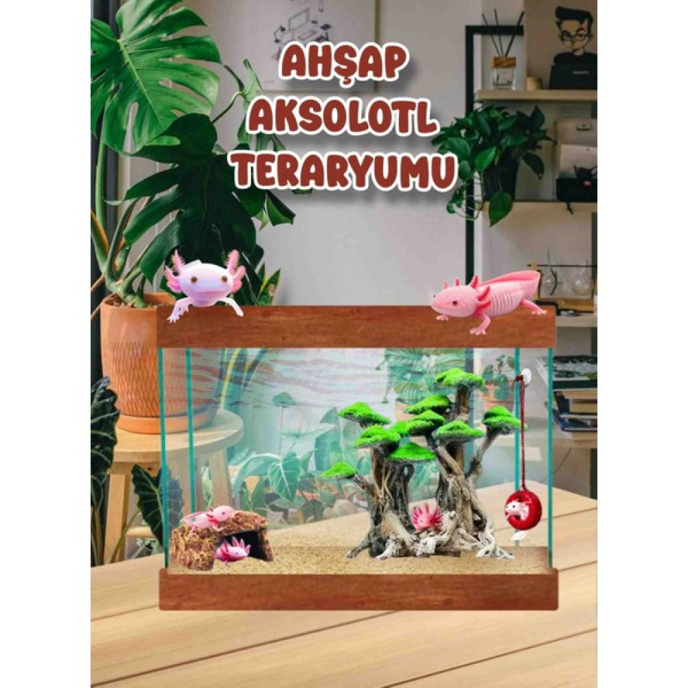 Mdizmir Aksolotl Akvaryumu 50 cm Evcil Hayvan Ürünleri Fiyatı