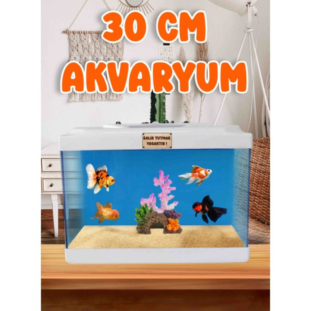 Mdizmir Akvaryum 30 cm Nano Akvaryum Japon Balıgı Akvaryum Mdizmir Petshop Yeni Üretim Akvaryum - Beyaz Akvaryum Evcil Hayvan Ürünleri Fiyatı