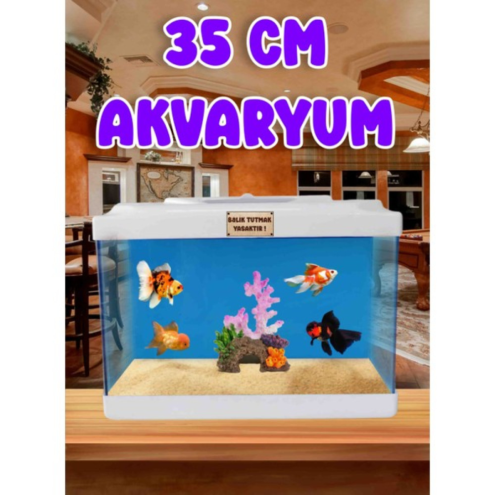 Mdizmir Akvaryum 35 cm Nano Akvaryum Japon Balıgı Akvaryum Mdizmir Petshop - Siyah Akvaryum Evcil Hayvan Ürünleri Fiyatı