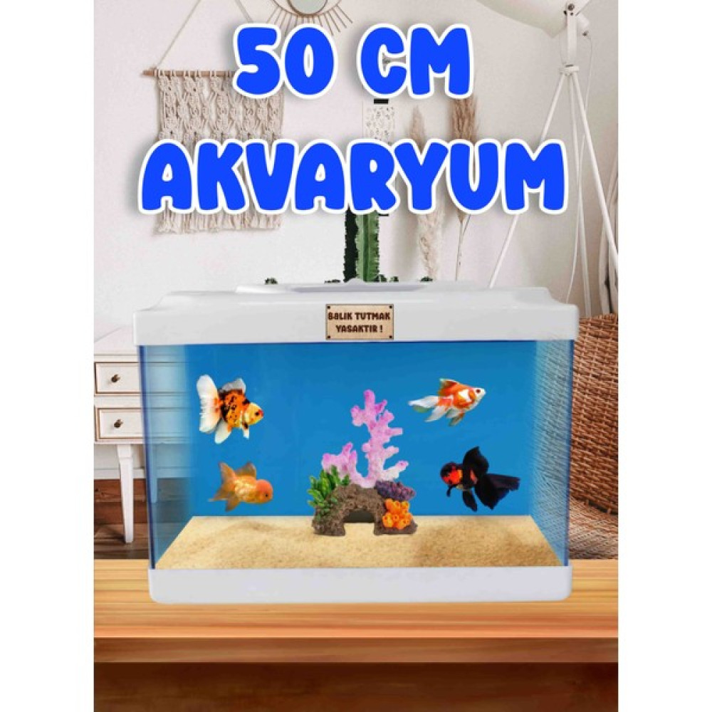 Mdizmir Akvaryum 50 cm Nano Akvaryum Japon Balıgı Akvaryum Büyük Akvaryum Mdizmir Petshop - Mavi Akvaryum Evcil Hayvan Ürünleri Fiyatı