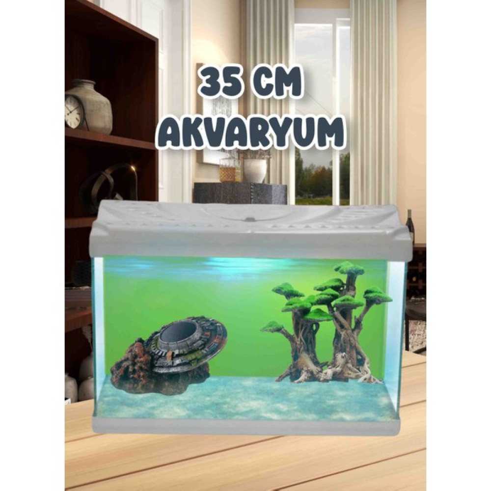 Mdizmir Akvaryum Nano Akvaryum Beta Japon Akvaryum Karışık Renklerde Gönderilir. - 35 CM Evcil Hayvan Ürünleri Fiyatı