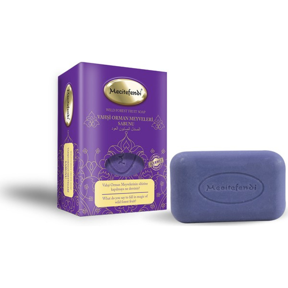 Mecitefendi Vahşi Orman Meyveleri 150 gr Oto Boyaları Fiyatı