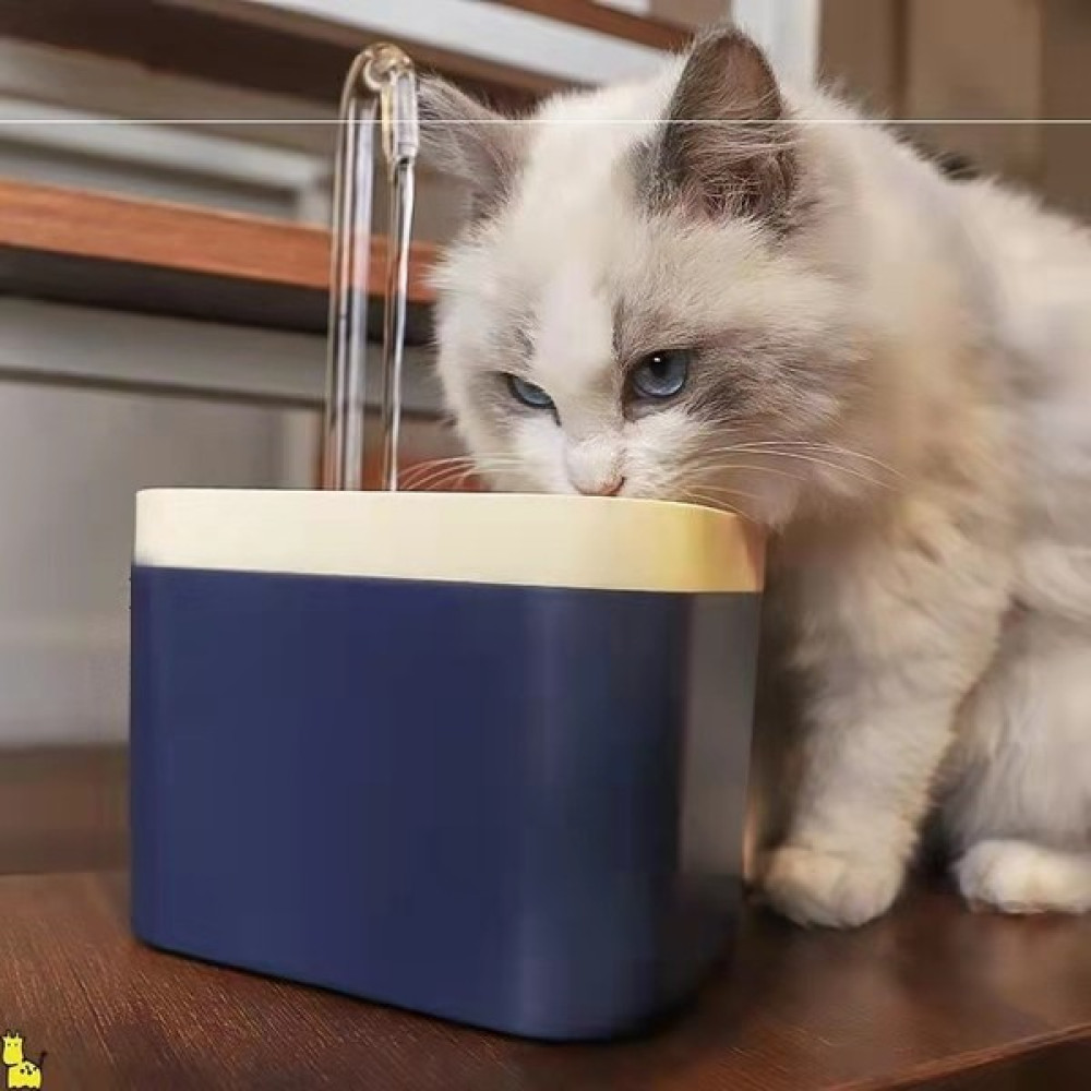 Mectime 1.5 Lt Otomatik Filtre USB Kedi Su Sebili (Yurt Dışından) - Mavi Evcil Hayvan Ürünleri Fiyatı