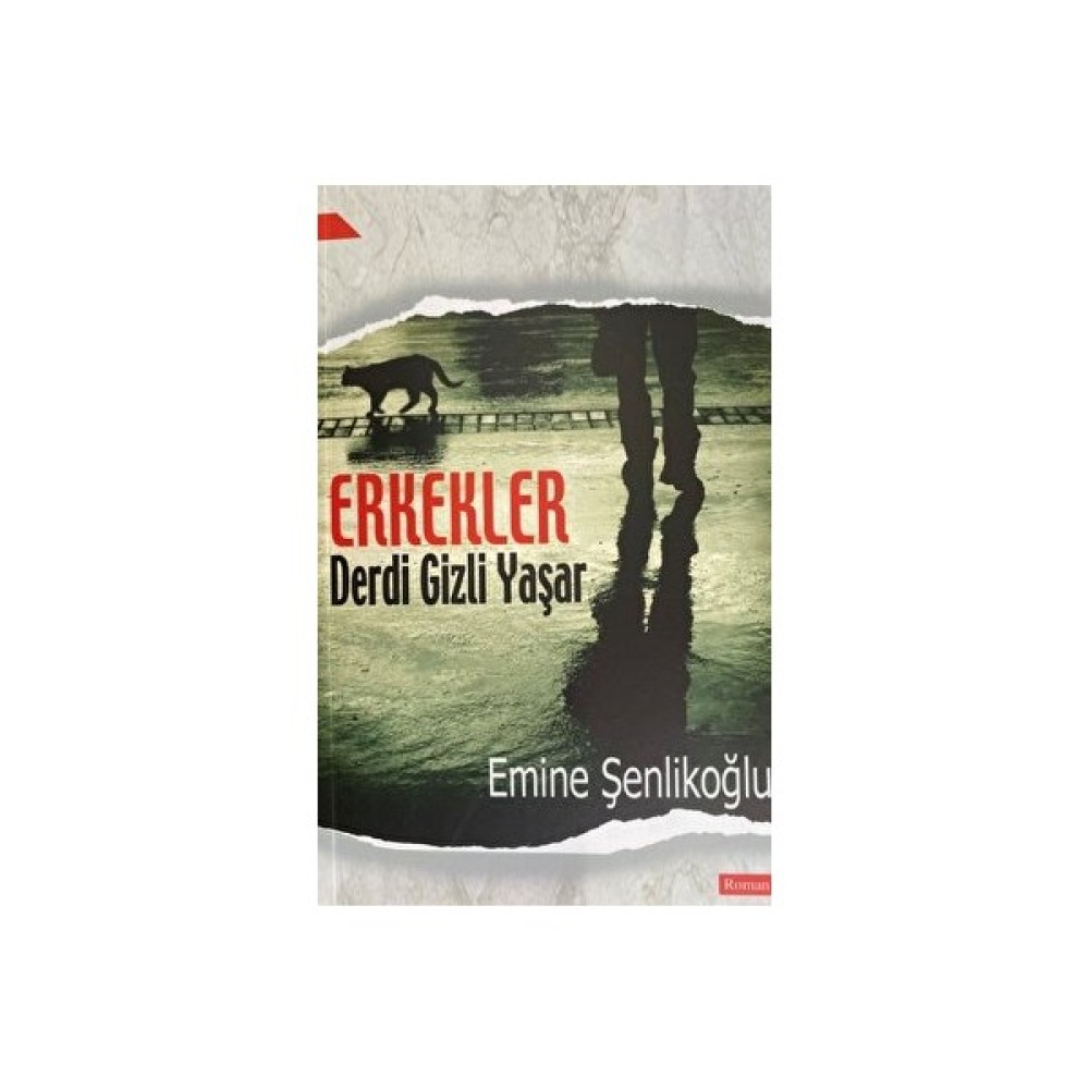 Mektup Yayınları Erkekler Derdi Gizli Yaşar - Emine Şenlikoğlu Edebiyat Fiyatı