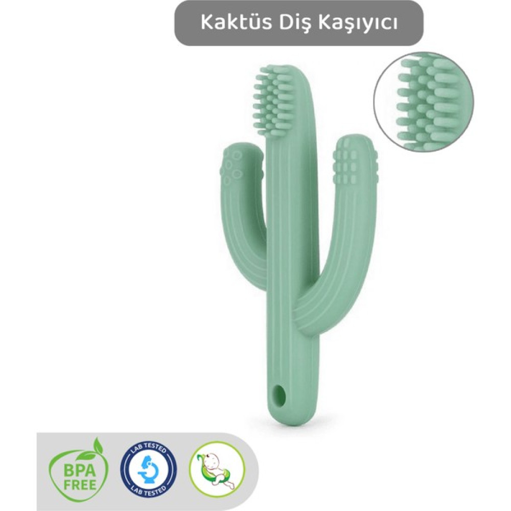 Meleni Baby Kaktüs Bebek Diş Kaşıyıcı - Bebek Diş Kaşıma Dişlik Yeşil Bebek Oyuncakları Fiyatı