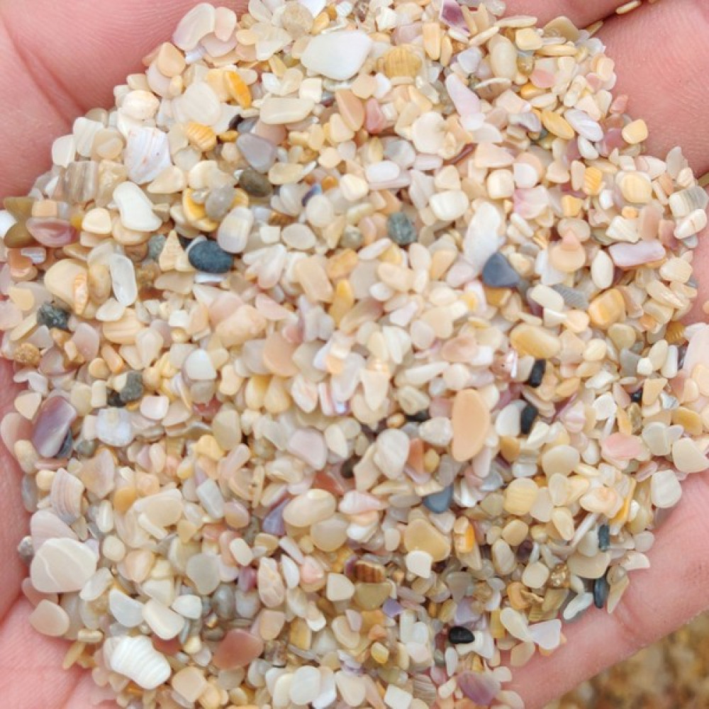 Melien Akvaryum Kumu Ciklet Kumu Iri Taneli Midye Karışımı 5 kg Evcil Hayvan Ürünleri Fiyatı