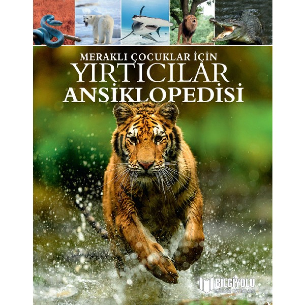 Meraklı Çocuklar İçin Yırtıcılar Ansiklopedisi Diğer Fiyatı