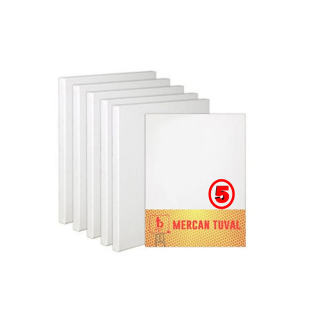 mercan tuval 25 X 35 Cm Arkadan Zımbalı 5 Li Paket Tual Tuval Fiyatı